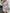 0ad9a56451ca40c18829f3346a5a6450-Max-Origin