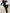 47e944a7-da43-4430-9594-edeb4490f1ed-Max-Origin
