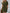 480954d6-13c4-4dfb-8aad-1914edfafa73-Max