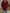 4c3263bac0a840338093ee92ea1dd763-Max-Origin