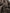 54a7d944eb0e4a3baf1368270b0af694-Max-Origin