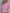 582ad61ec06b4d69a95cde438204928c-Max-Origin