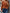 604f499cae474ae6b81505ad295e6894-Max-Origin