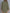 66180994409a4e2db9374a509a81e00f-Max-Origin