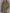 6b68689fcc1d40b0b1281ebc0e88ddc2-Max-Origin