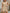 9dc99704461742fb83b2efca4136934e-Max-Origin