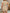 ab065e09fb534e018e5c8a818859777d-Max-Origin