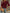af26c8da8107402ebdfa9de4aa01f4de-Max-Origin