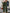 b5dbed94af9549c582f5892e0acd1ff4-Max-Origin