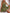 b996b222-5360-4769-93ba-e6fcb9652886-Max