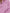 c743a3e1-7826-487a-9365-667b66cdfda6-Max-Origin