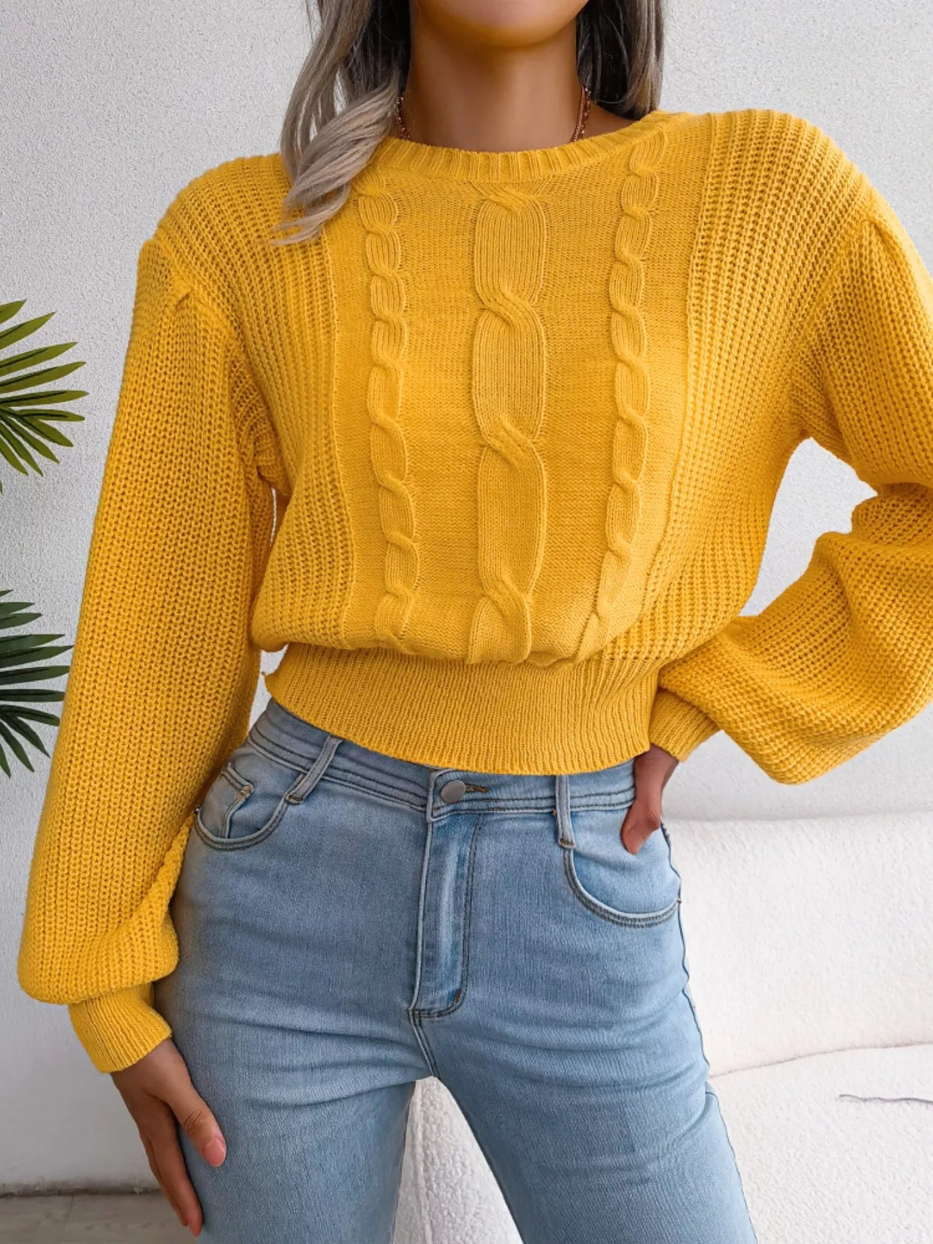 Cable Knit Round Neck Cropped Sweater - FLORENTINE IRIS