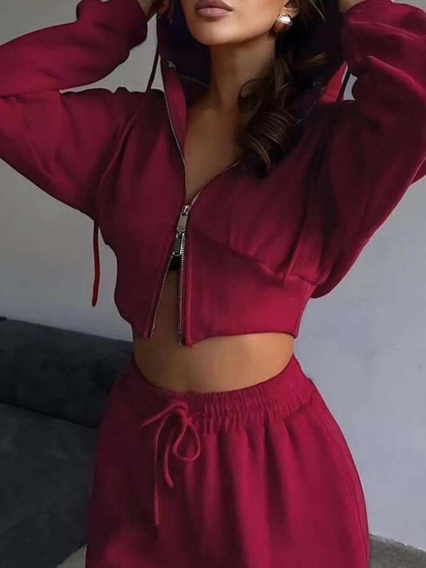Casual Cropped Hoodie and Wide Leg Pants Set - FLORENTINE IRIS