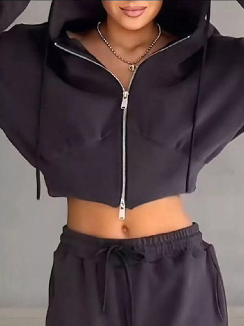 Casual Cropped Hoodie and Wide Leg Pants Set - FLORENTINE IRIS