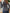 cb73c586a6ca4c2db0b5593c045376de-Max-Origin