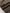 f03173ab4a8540ac95014cc4a0b5eb59-Max-Origin