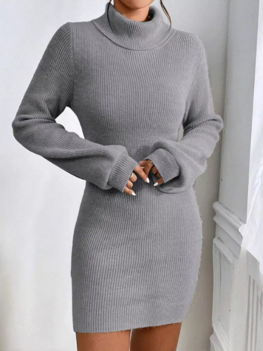 Turtleneck Ribbed Knit Sweater Dress - FLORENTINE IRIS
