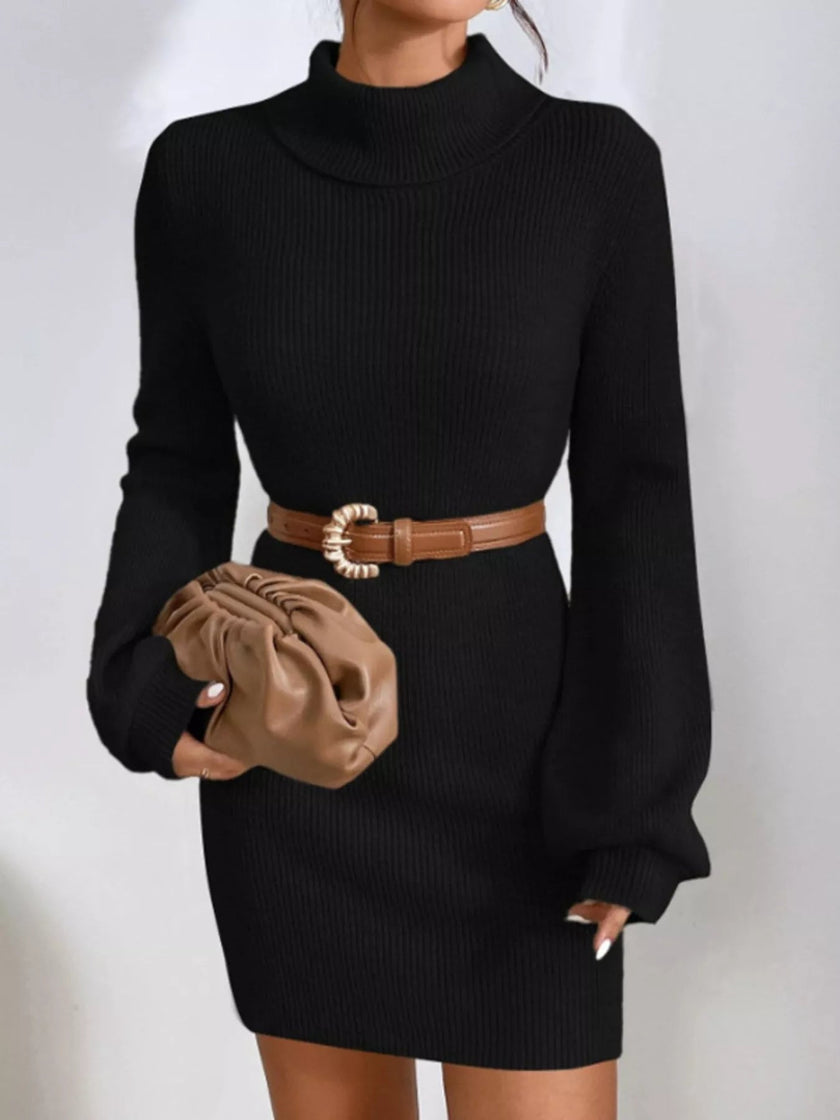 Turtleneck Ribbed Knit Sweater Dress - FLORENTINE IRIS