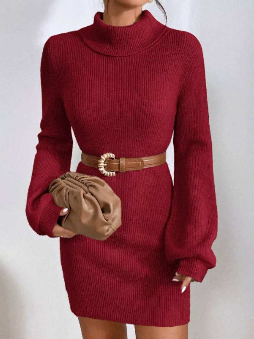 Turtleneck Ribbed Knit Sweater Dress - FLORENTINE IRIS