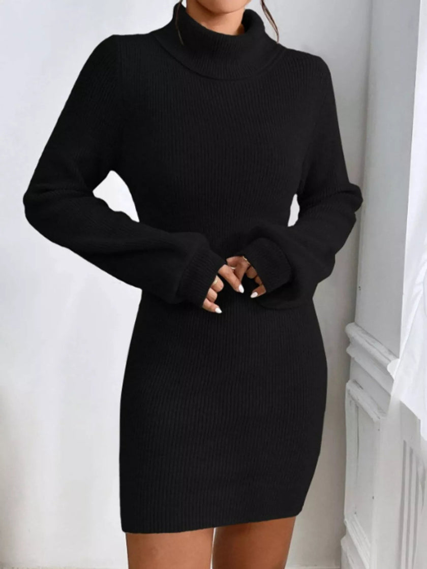 Turtleneck Ribbed Knit Sweater Dress - FLORENTINE IRIS