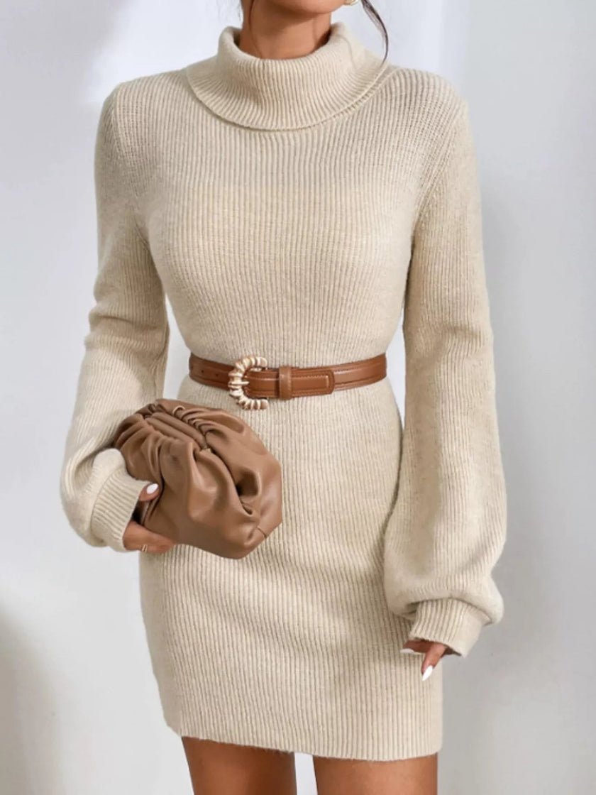Turtleneck Ribbed Knit Sweater Dress - FLORENTINE IRIS