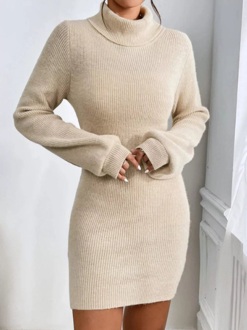 Turtleneck Ribbed Knit Sweater Dress - FLORENTINE IRIS