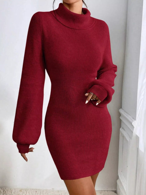 Turtleneck Ribbed Knit Sweater Dress - FLORENTINE IRIS