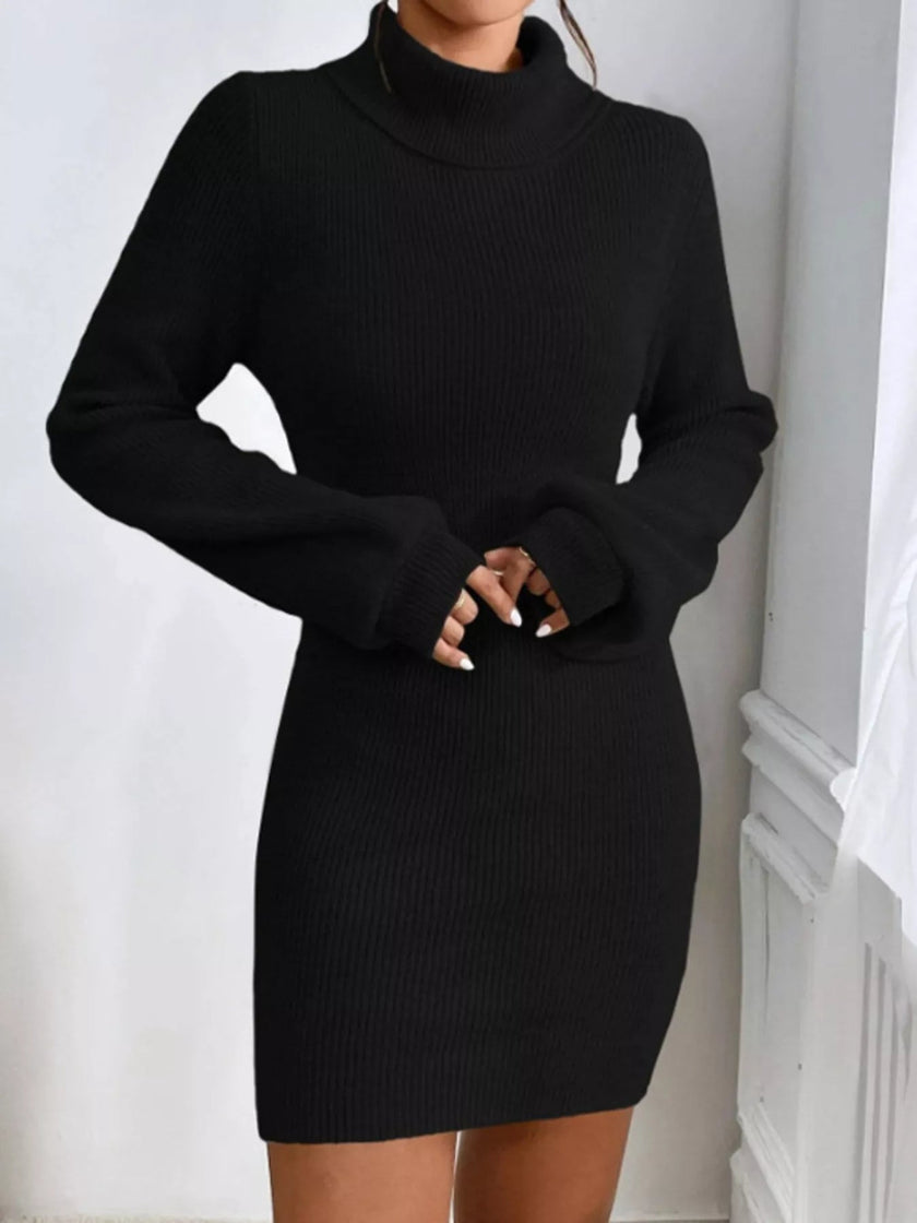 Turtleneck Ribbed Knit Sweater Dress - FLORENTINE IRIS